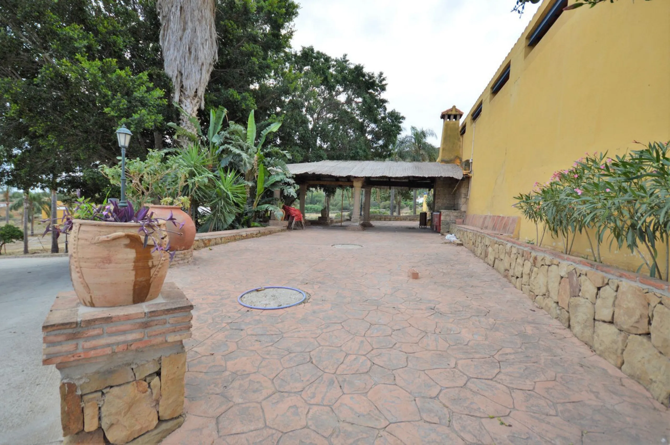 Fantastic and unique equestrian farm in an area surrounded by pine forests and Mediterranean vegetation.