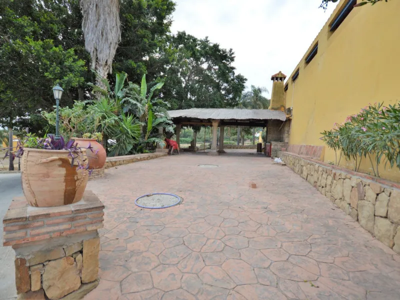 Fantastic and unique equestrian farm in an area surrounded by pine forests and Mediterranean vegetation.