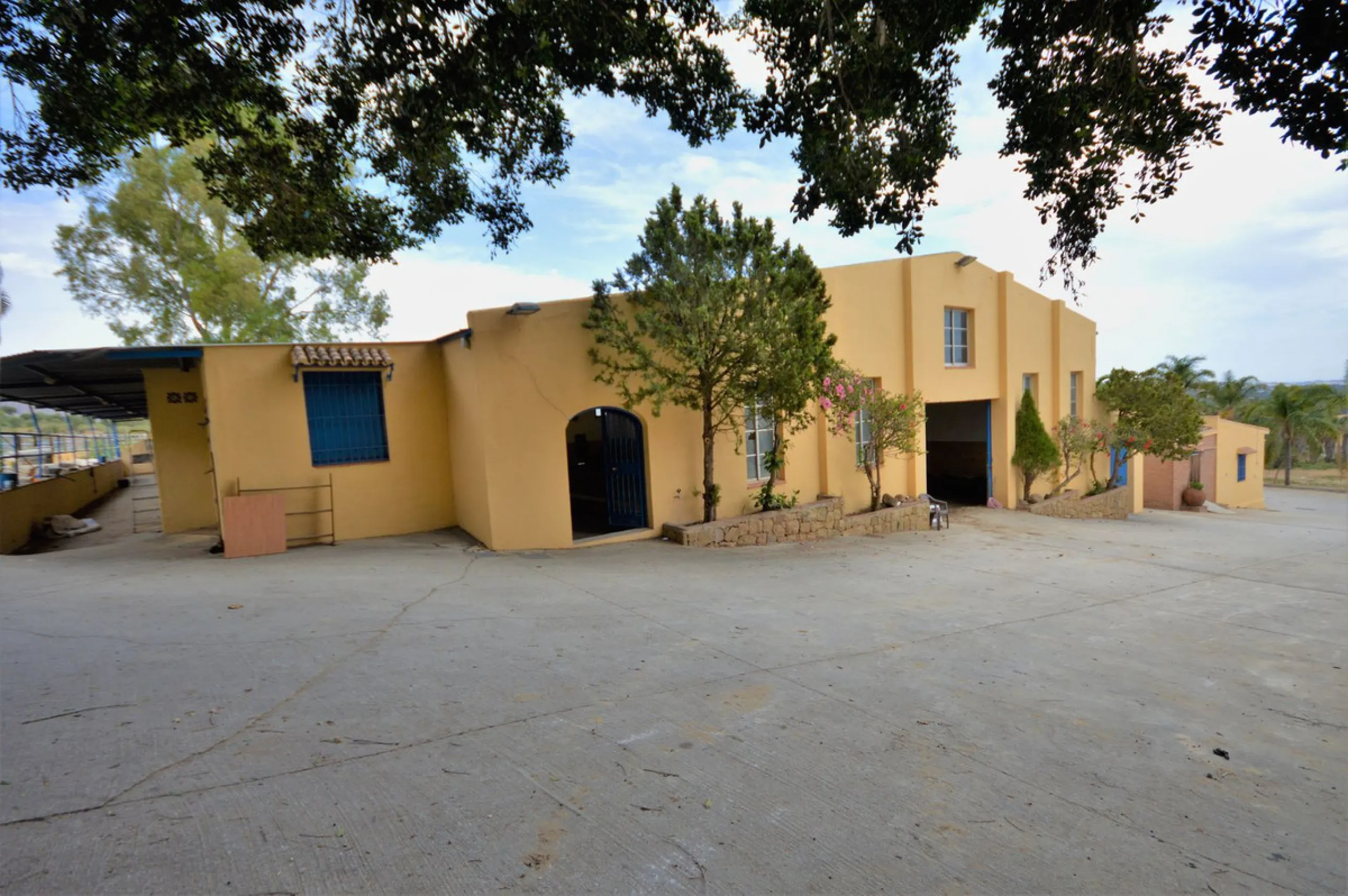Fantastic and unique equestrian farm in an area surrounded by pine forests and Mediterranean vegetation.