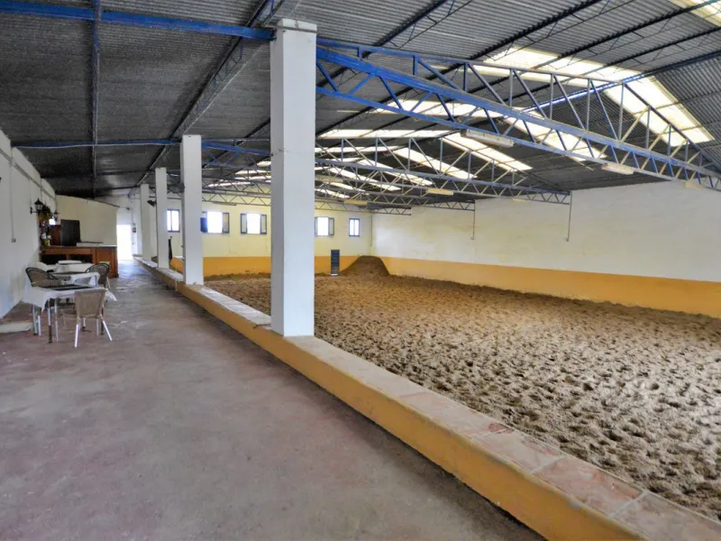 Fantastic and unique equestrian farm in an area surrounded by pine forests and Mediterranean vegetation.