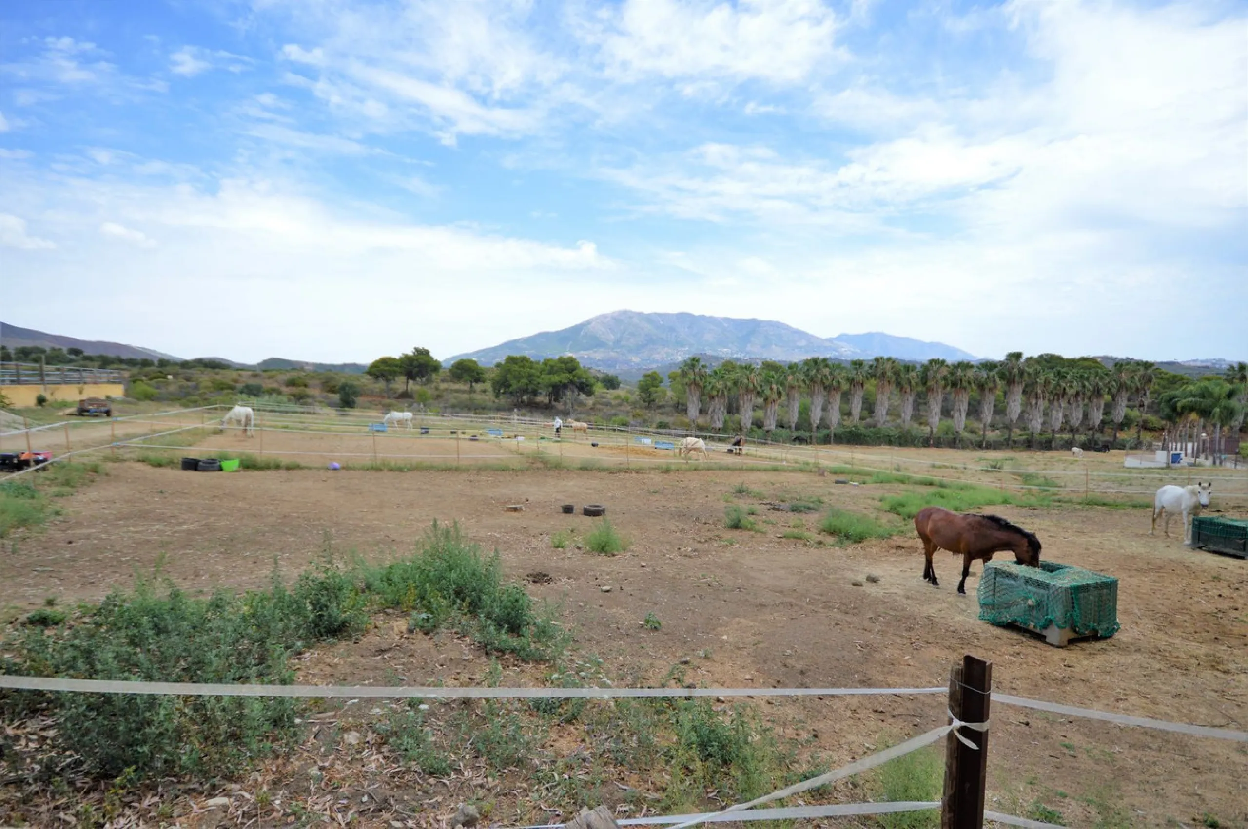 Fantastic and unique equestrian farm in an area surrounded by pine forests and Mediterranean vegetation.