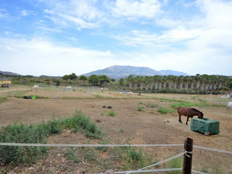 Fantastic and unique equestrian farm in an area surrounded by pine forests and Mediterranean vegetation.