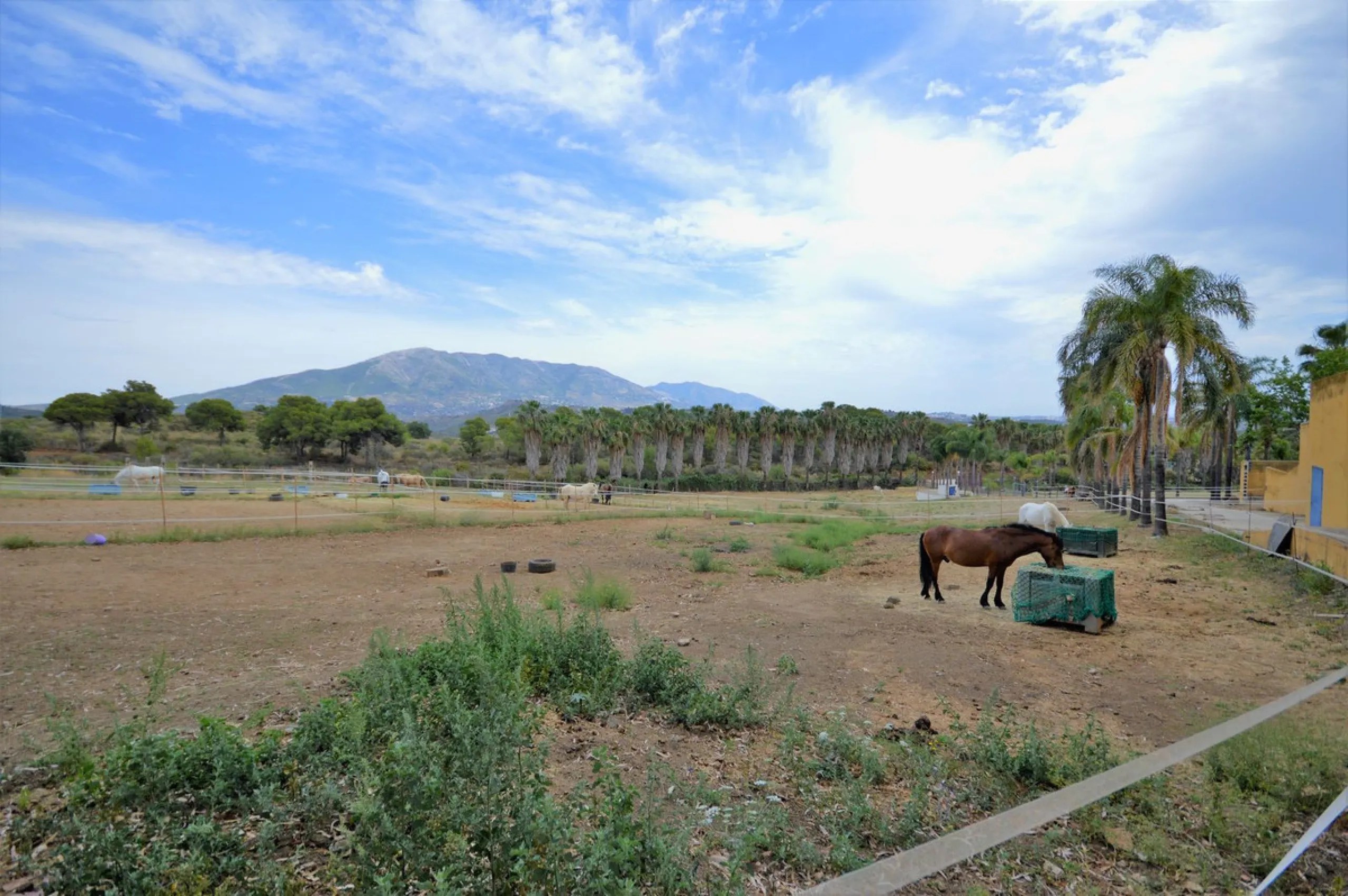 Fantastic and unique equestrian farm in an area surrounded by pine forests and Mediterranean vegetation.