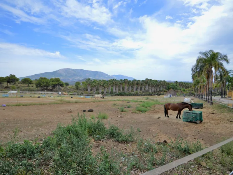 Fantastic and unique equestrian farm in an area surrounded by pine forests and Mediterranean vegetation.