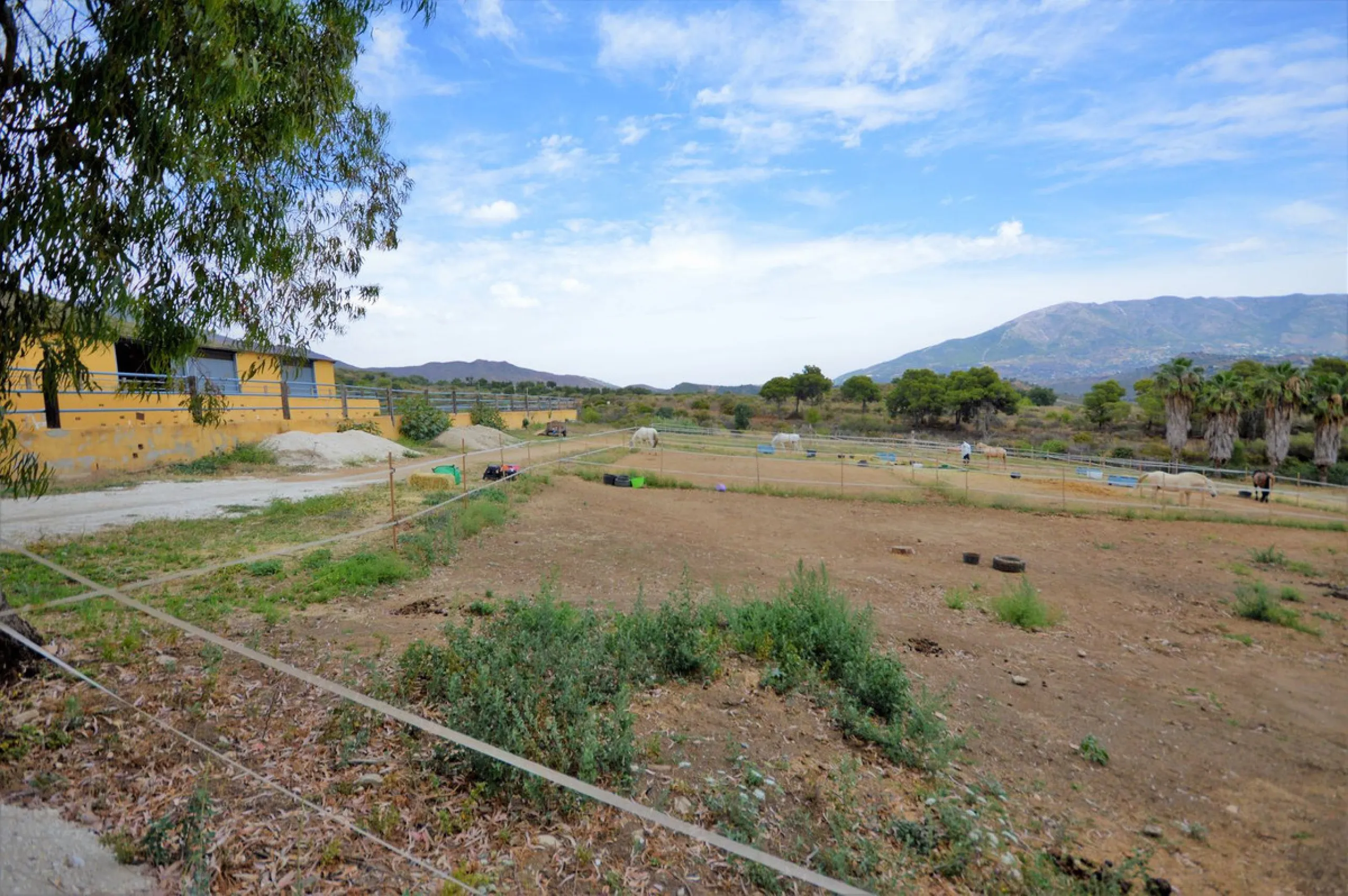 Fantastic and unique equestrian farm in an area surrounded by pine forests and Mediterranean vegetation.