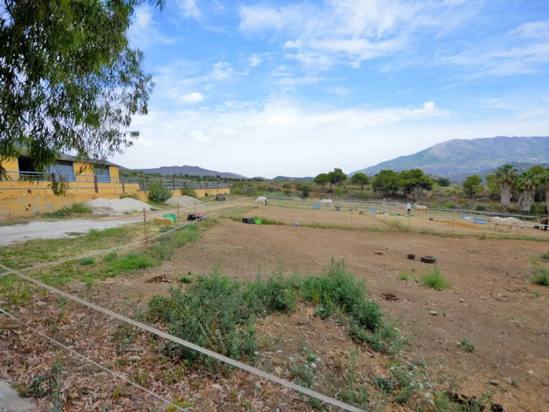 Fantastic and unique equestrian farm in an area surrounded by pine forests and Mediterranean vegetation.