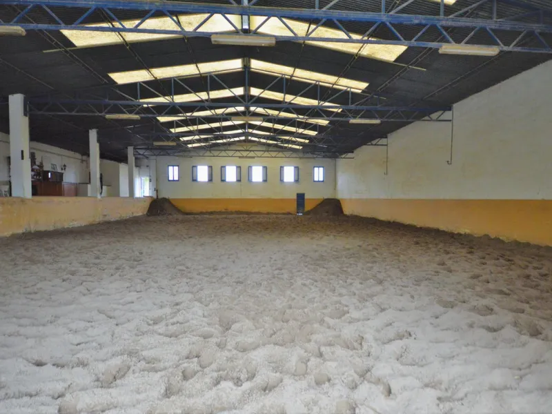 Fantastic and unique equestrian farm in an area surrounded by pine forests and Mediterranean vegetation.