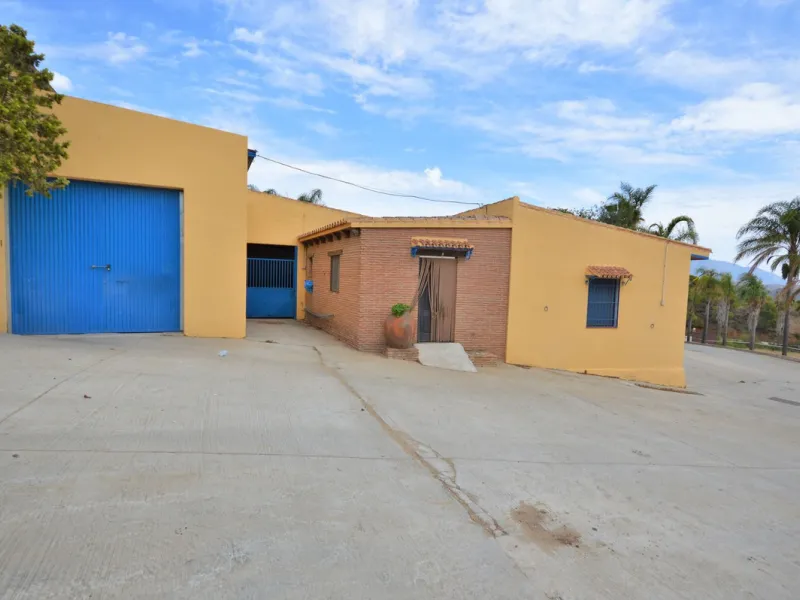 Fantastic and unique equestrian farm in an area surrounded by pine forests and Mediterranean vegetation.