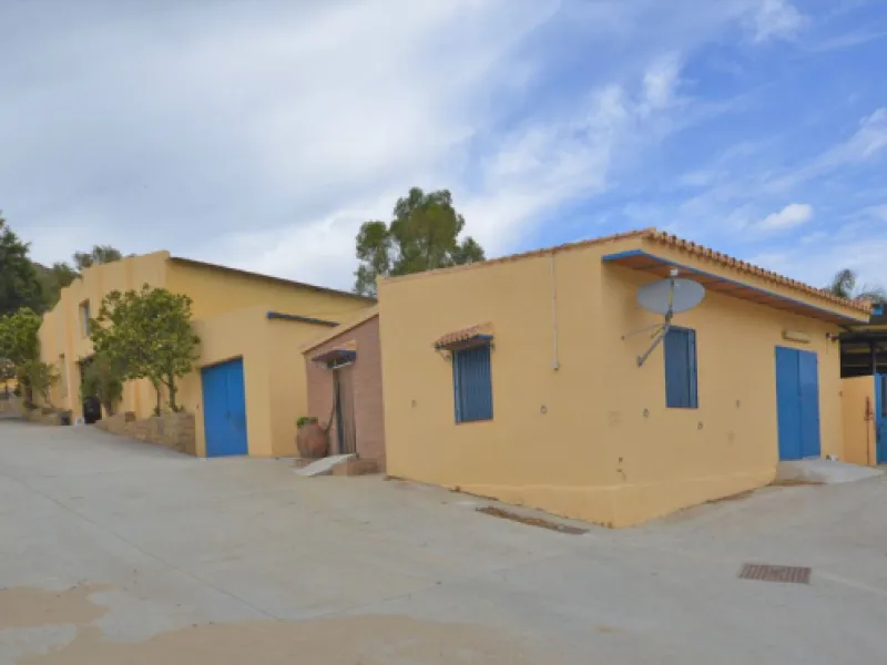 Fantastic and unique equestrian farm in an area surrounded by pine forests and Mediterranean vegetation.