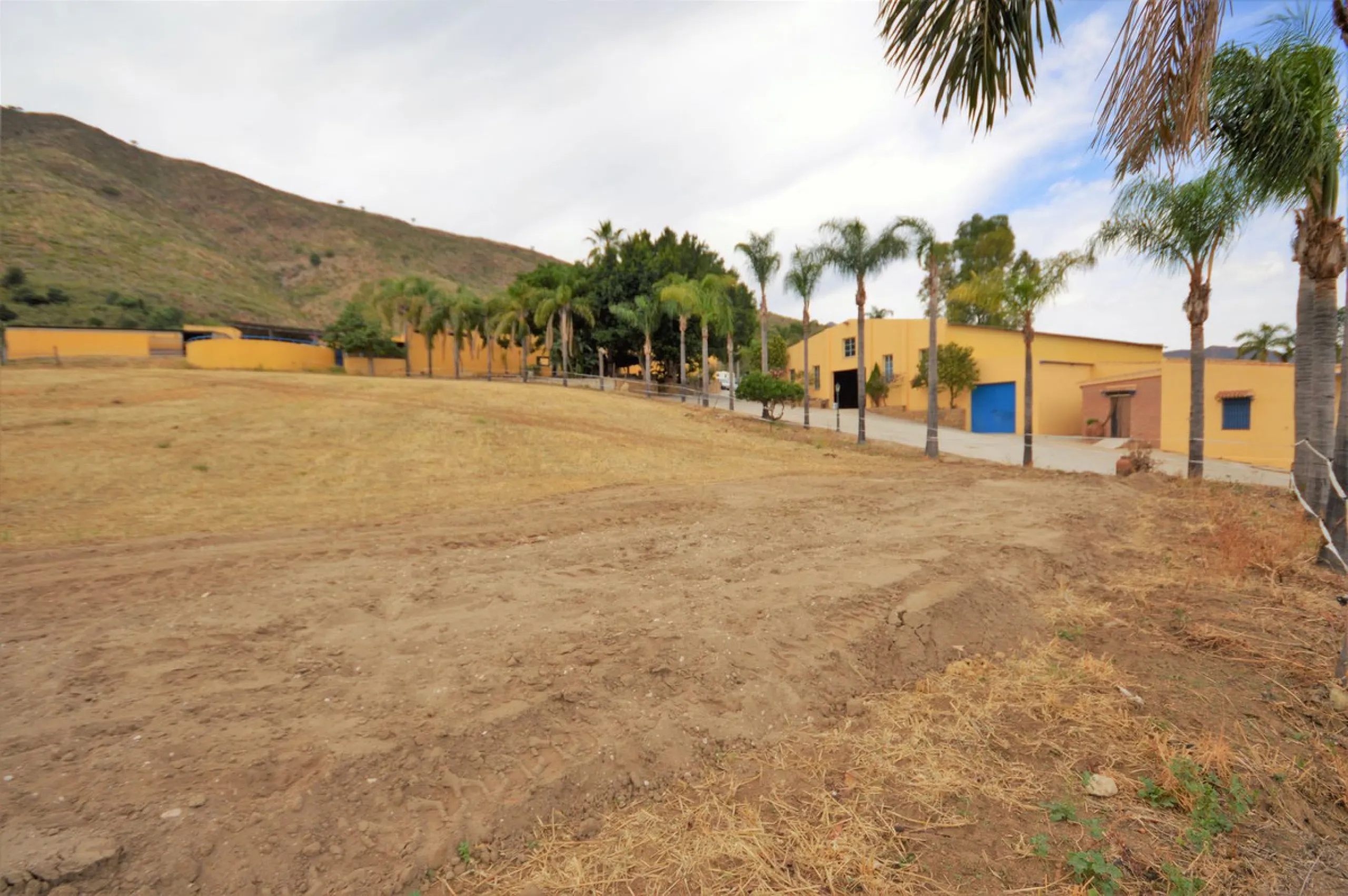 Fantastic and unique equestrian farm in an area surrounded by pine forests and Mediterranean vegetation.