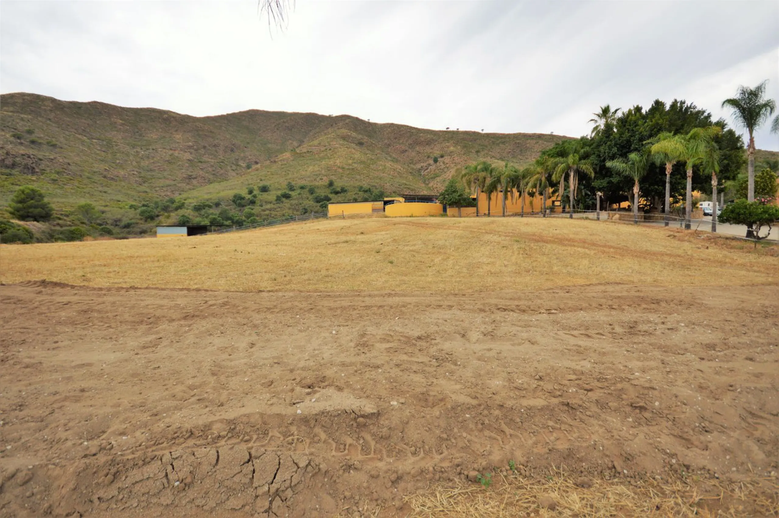 Fantastic and unique equestrian farm in an area surrounded by pine forests and Mediterranean vegetation.