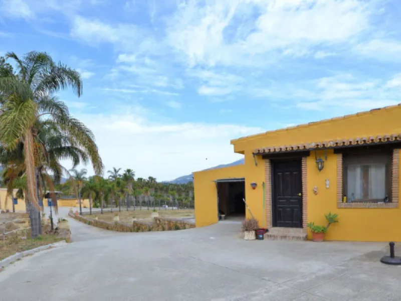 Fantastic and unique equestrian farm in an area surrounded by pine forests and Mediterranean vegetation.
