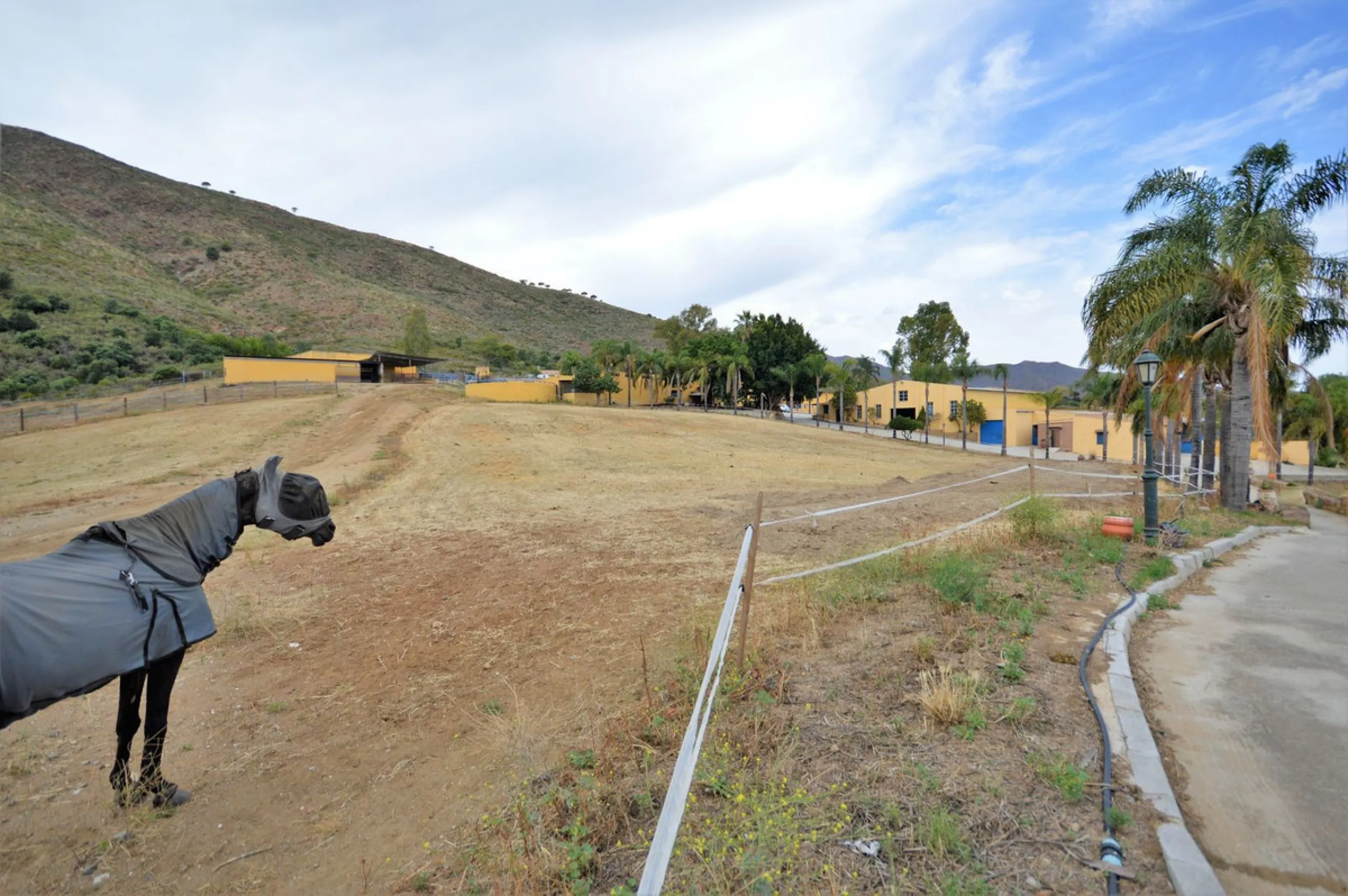 Fantastic and unique equestrian farm in an area surrounded by pine forests and Mediterranean vegetation.