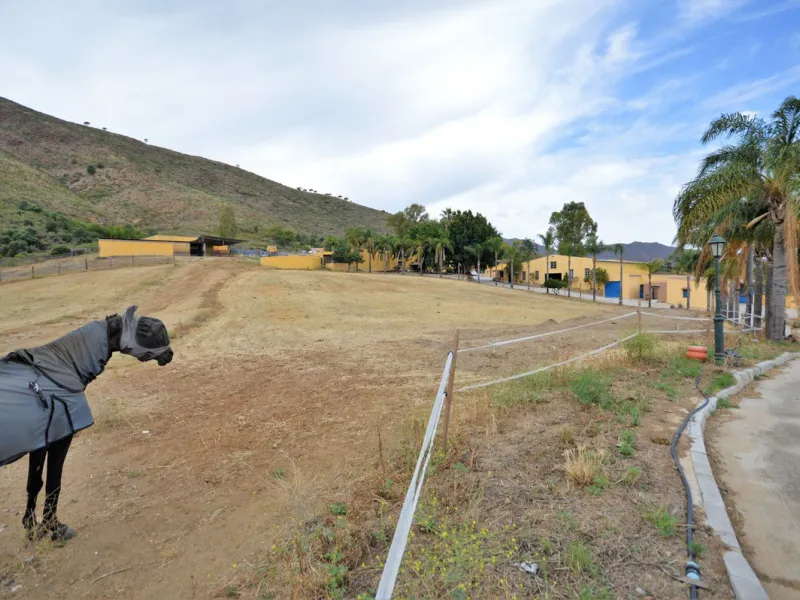 Fantastic and unique equestrian farm in an area surrounded by pine forests and Mediterranean vegetation.