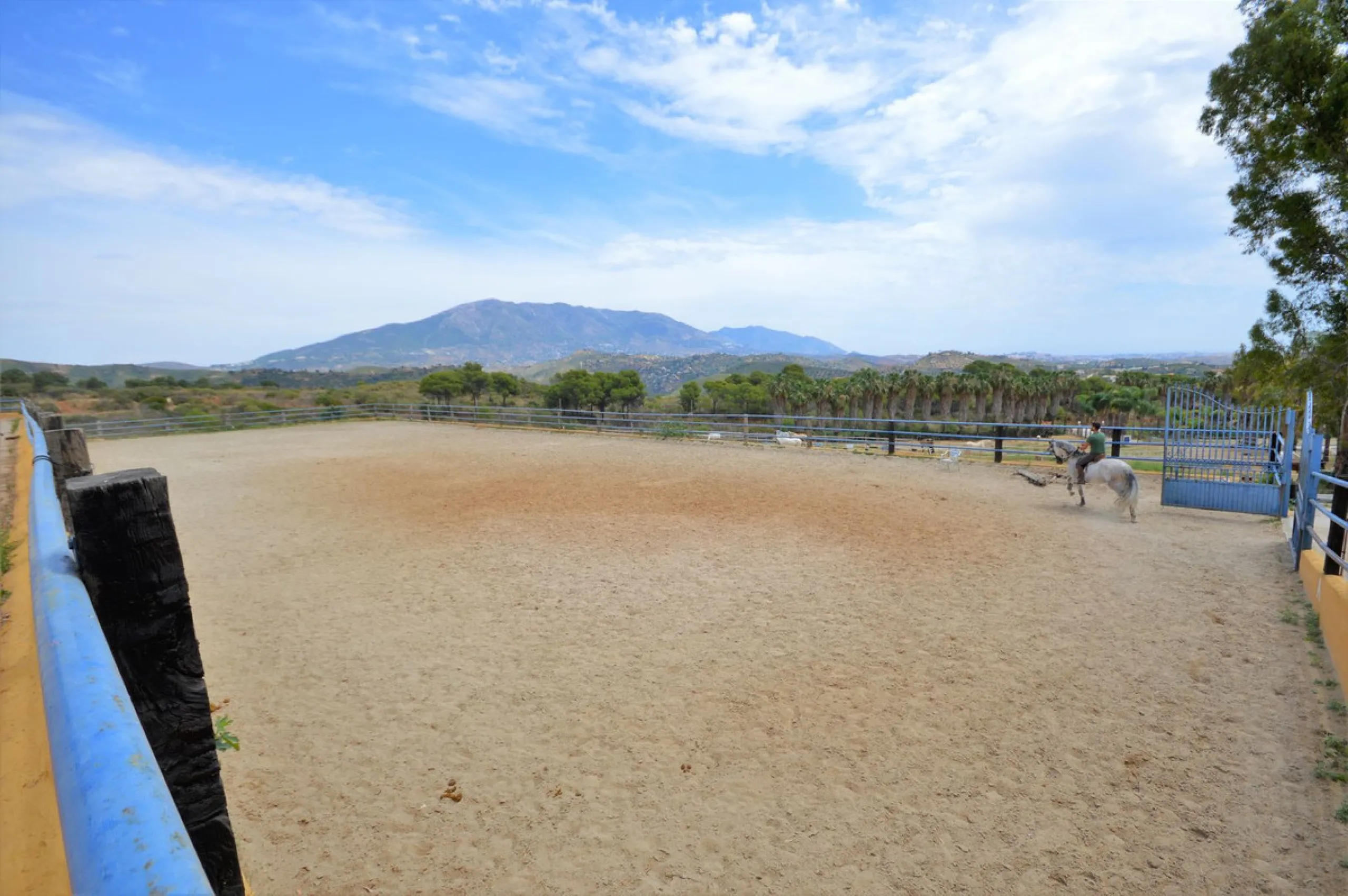 Fantastic and unique equestrian farm in an area surrounded by pine forests and Mediterranean vegetation.