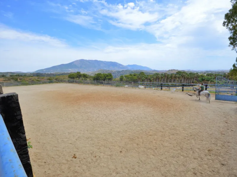 Fantastic and unique equestrian farm in an area surrounded by pine forests and Mediterranean vegetation.