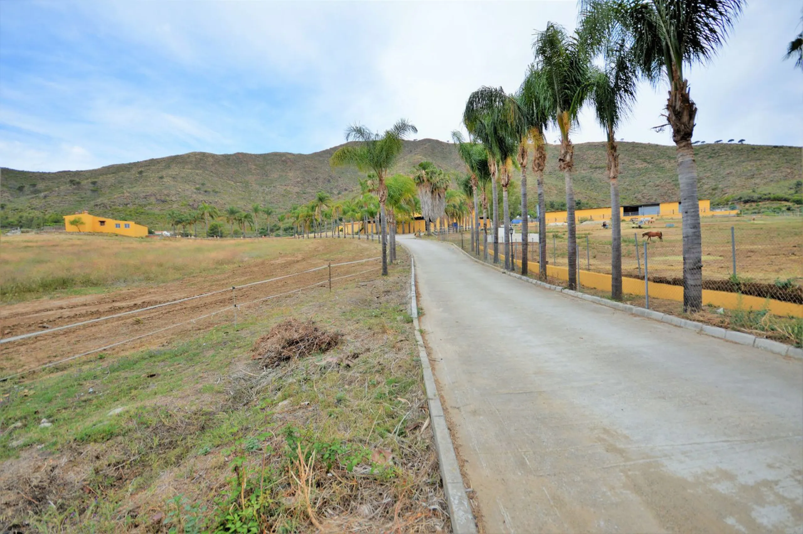 Fantastic and unique equestrian farm in an area surrounded by pine forests and Mediterranean vegetation.