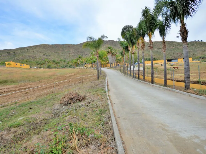 Fantastic and unique equestrian farm in an area surrounded by pine forests and Mediterranean vegetation.
