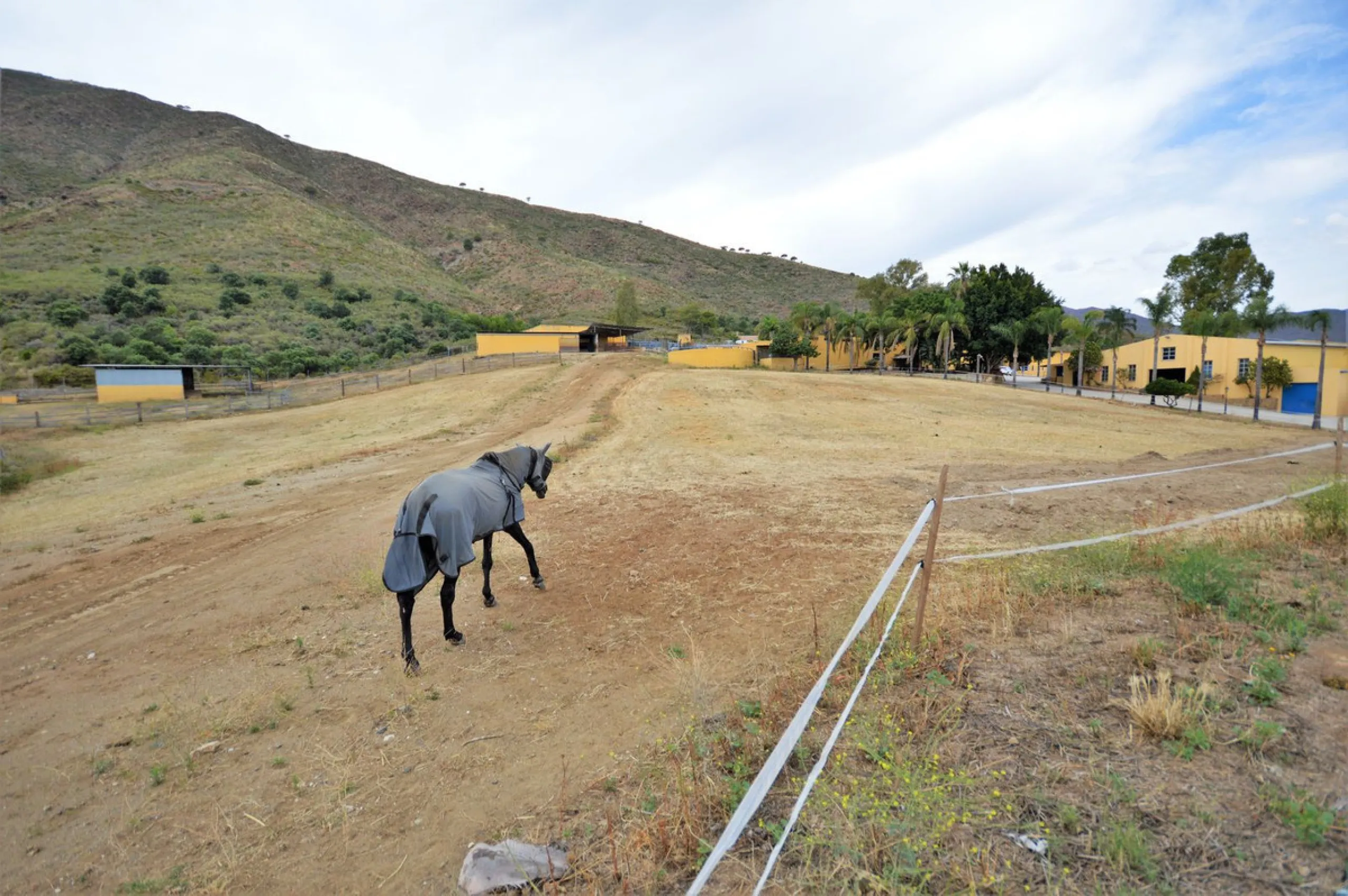 Fantastic and unique equestrian farm in an area surrounded by pine forests and Mediterranean vegetation.
