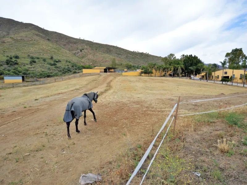 Fantastic and unique equestrian farm in an area surrounded by pine forests and Mediterranean vegetation.