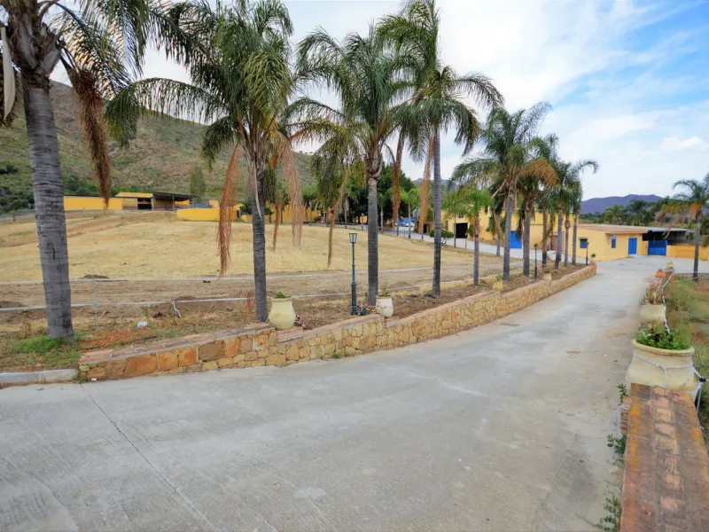 Fantastic and unique equestrian farm in an area surrounded by pine forests and Mediterranean vegetation.