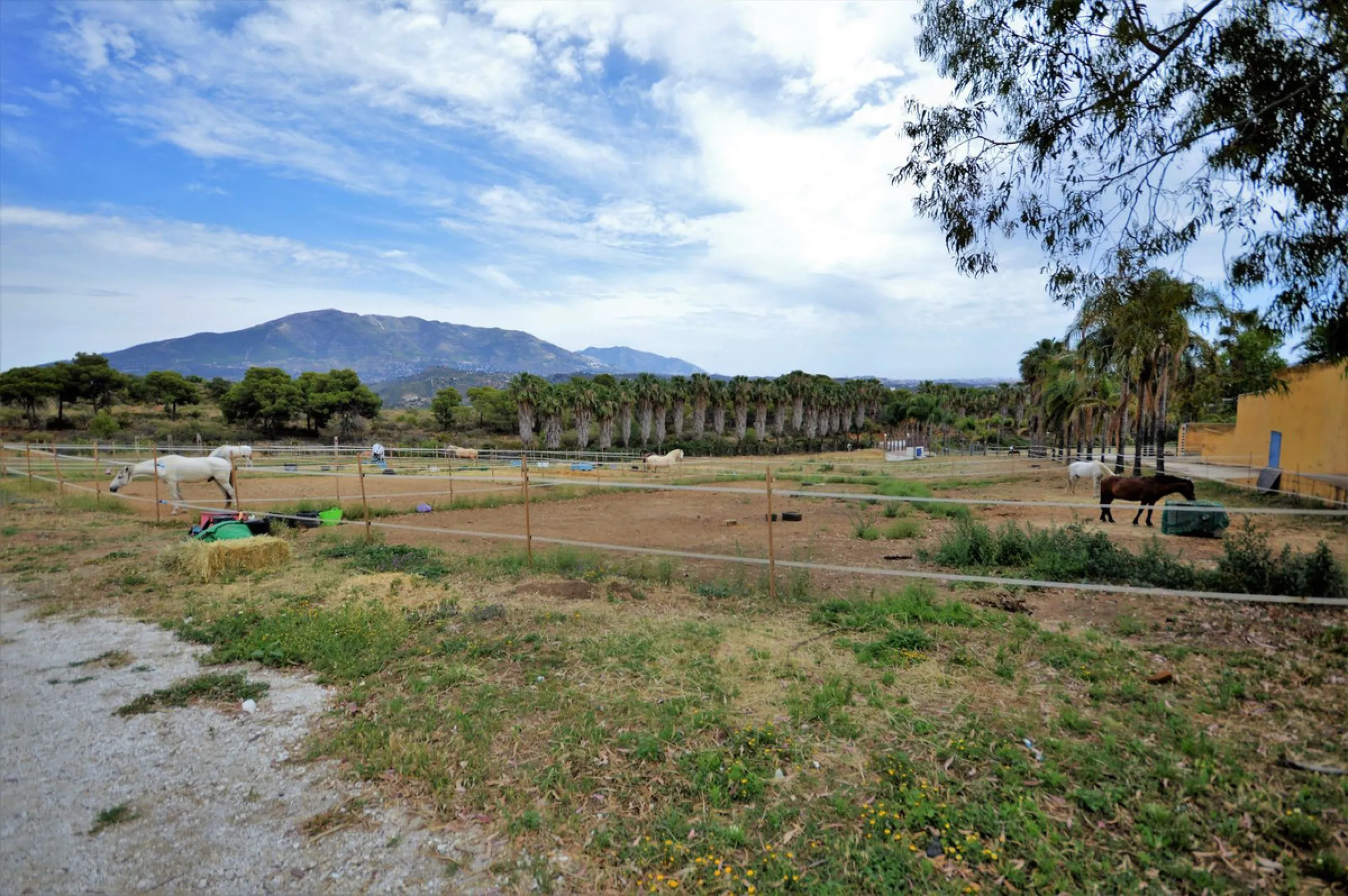 Fantastic and unique equestrian farm in an area surrounded by pine forests and Mediterranean vegetation.