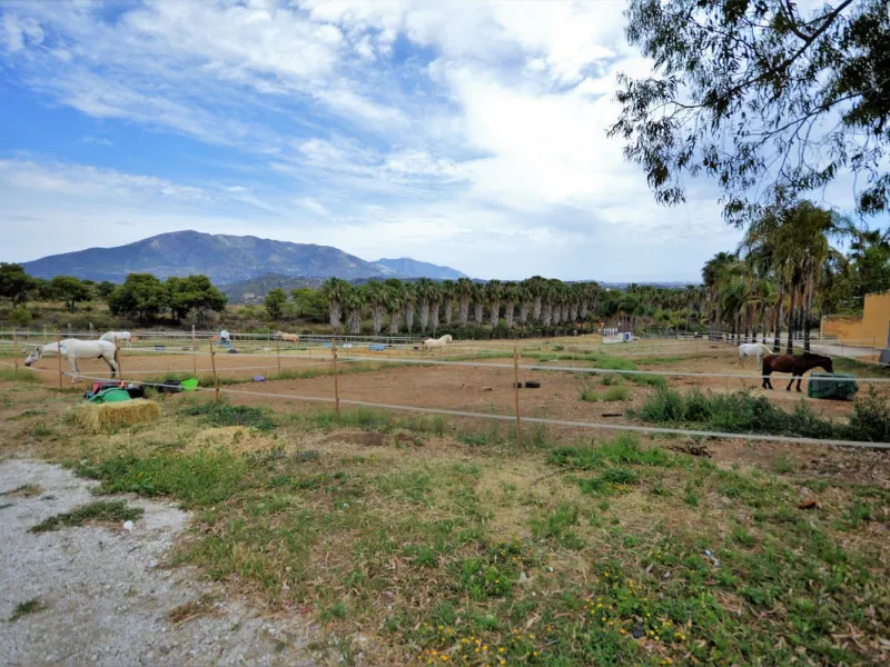 Fantastic and unique equestrian farm in an area surrounded by pine forests and Mediterranean vegetation.