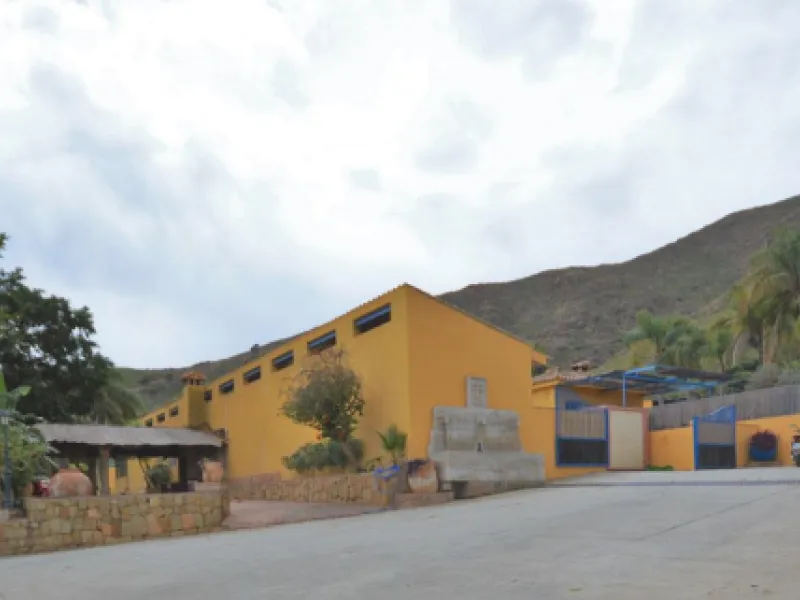 Fantastic and unique equestrian farm in an area surrounded by pine forests and Mediterranean vegetation.