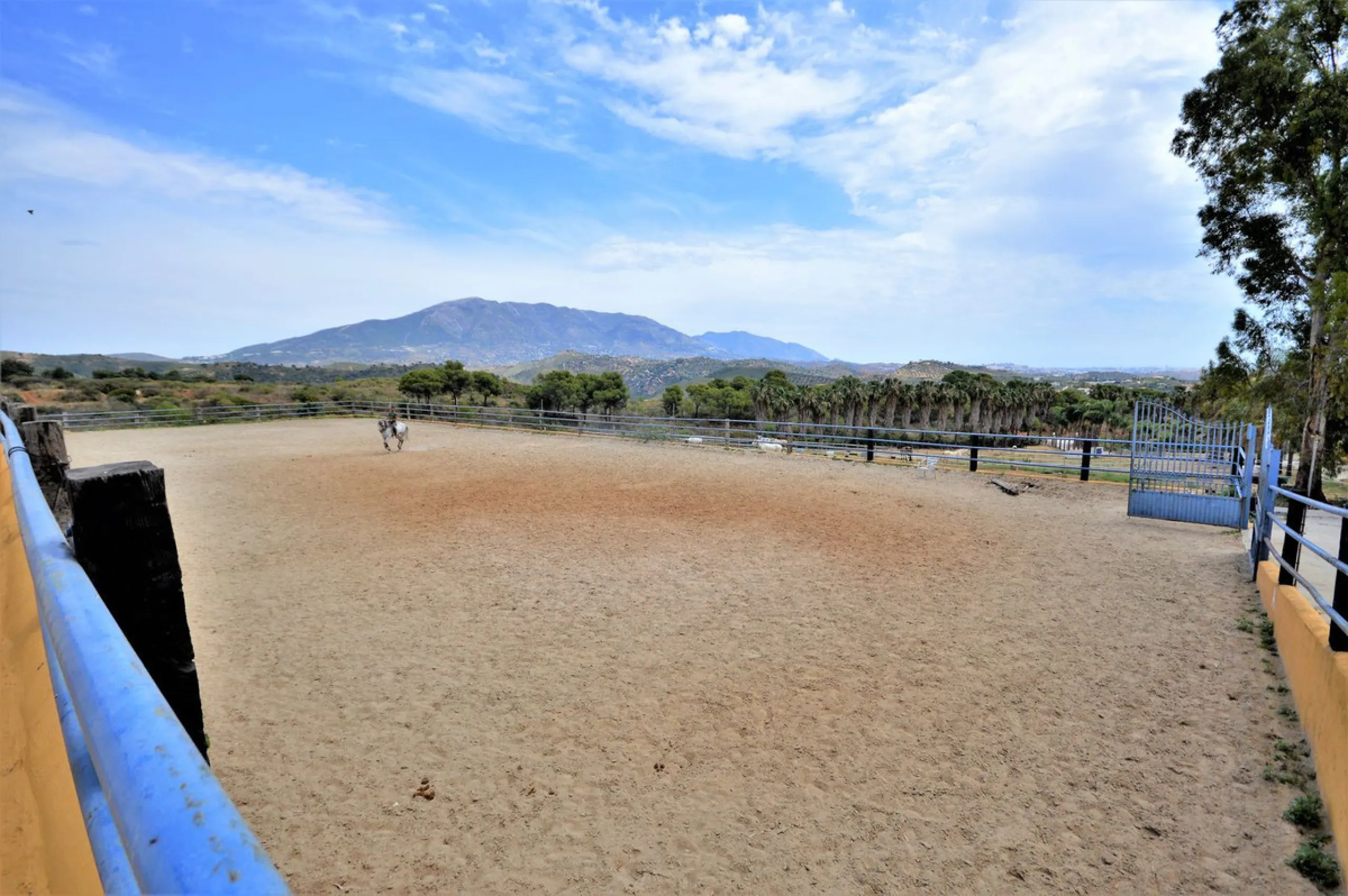 Fantastic and unique equestrian farm in an area surrounded by pine forests and Mediterranean vegetation.