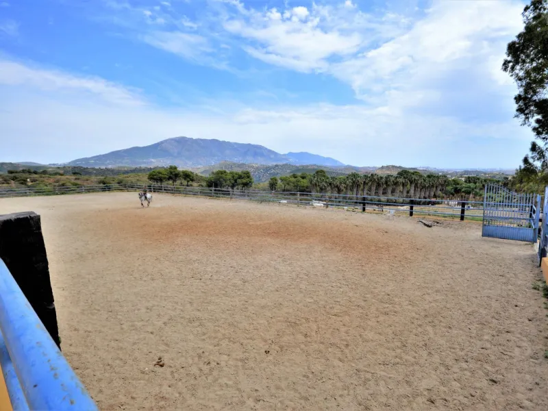 Fantastic and unique equestrian farm in an area surrounded by pine forests and Mediterranean vegetation.