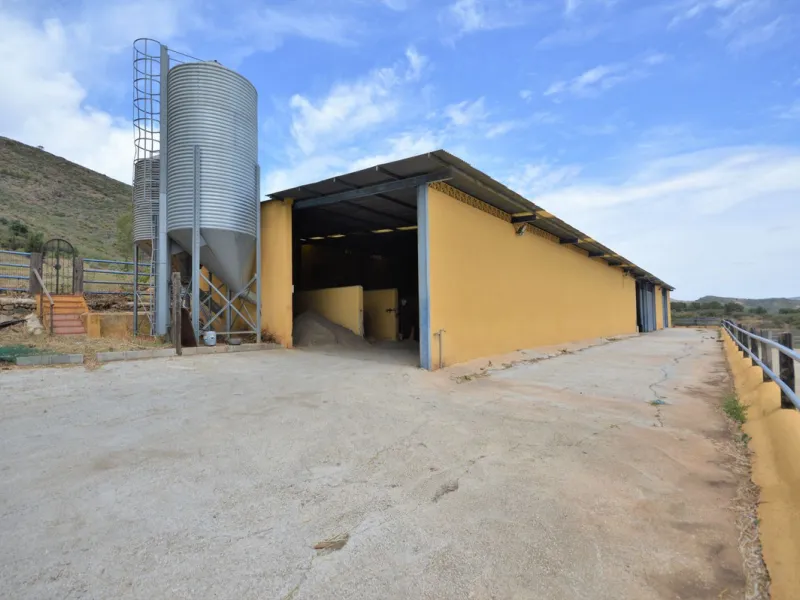 Fantastic and unique equestrian farm in an area surrounded by pine forests and Mediterranean vegetation.