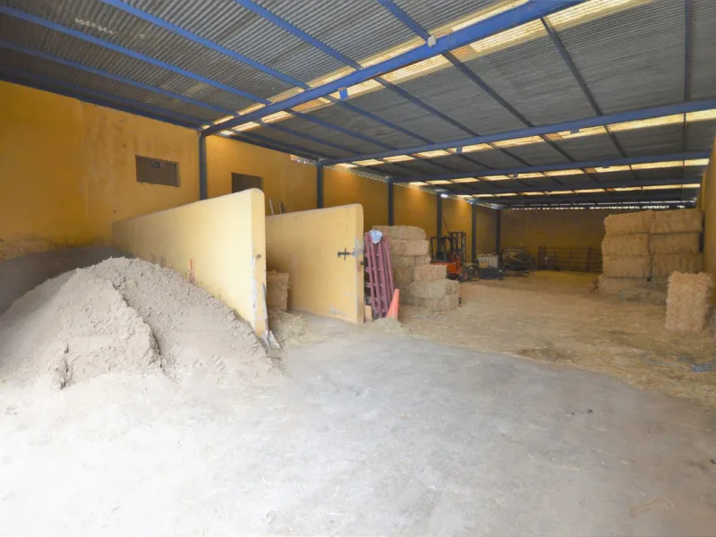 Fantastic and unique equestrian farm in an area surrounded by pine forests and Mediterranean vegetation.