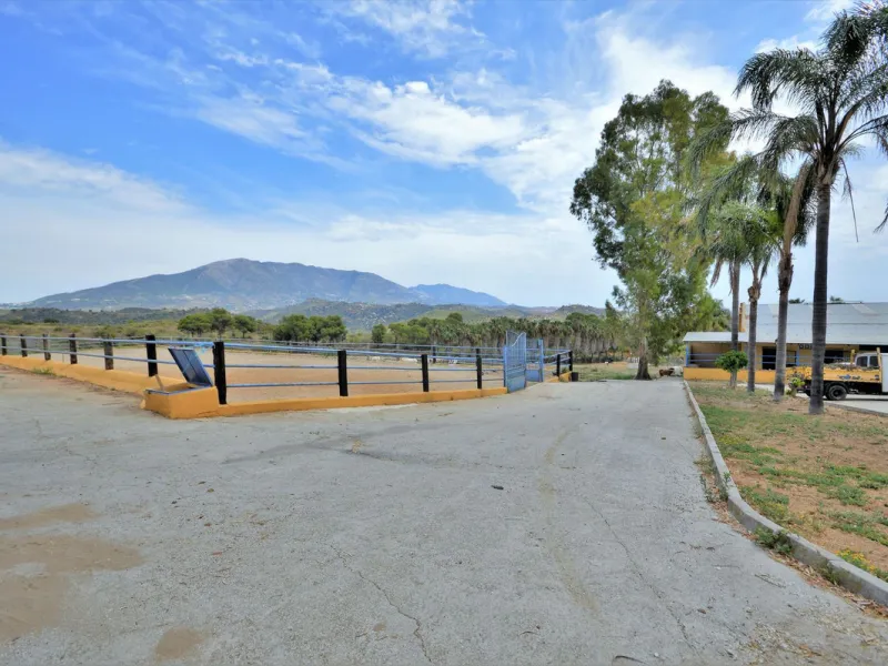 Fantastic and unique equestrian farm in an area surrounded by pine forests and Mediterranean vegetation.