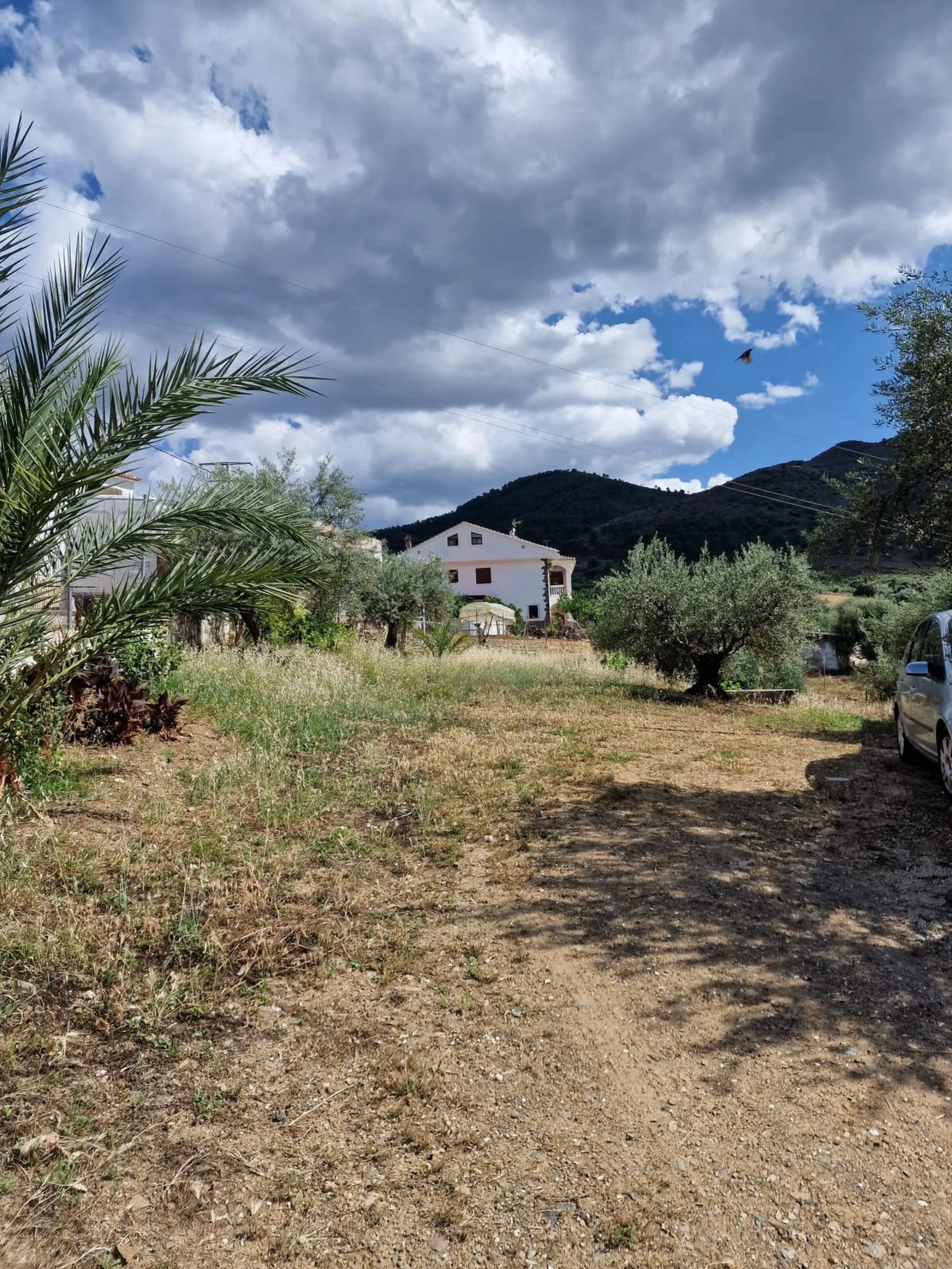 INVESTMENT OPPORTUNITY OR LARGE FAMILY HOME!!!