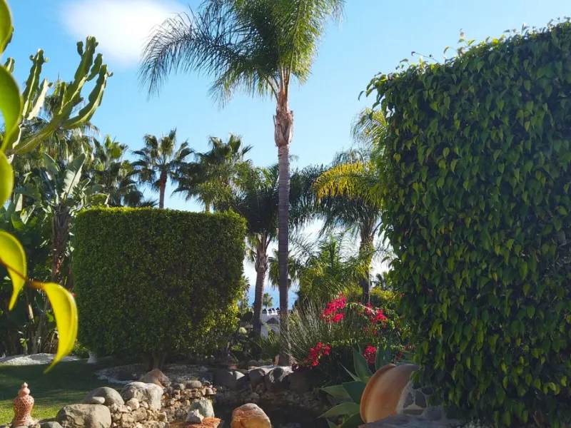 INVESTORS DREAM Luxury villa set in beautiful tropical gardens with amazing sea views from everywhere.