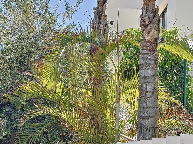 House - Detached Villa в продаже в Marbella, Málaga. В доме 4 спален и 4 ванных комнат. Площадь дома 264 м²