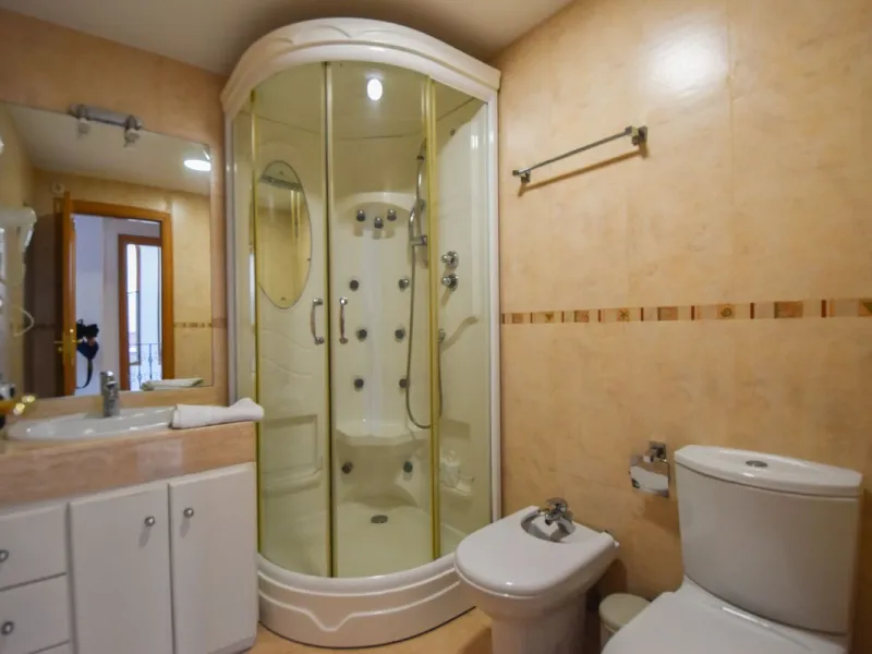 JEWEL IN THE CENTER OF MARBELLA