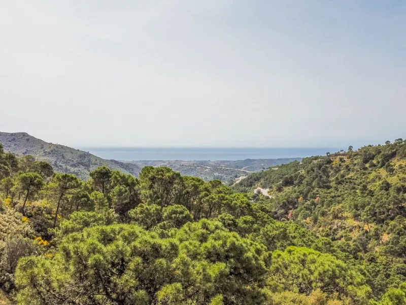 Fantastic rustic plot in Monte Mayor, Benahavís.