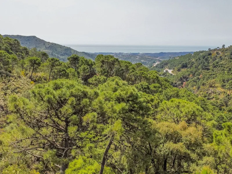 Fantastic rustic plot in Monte Mayor, Benahavís.