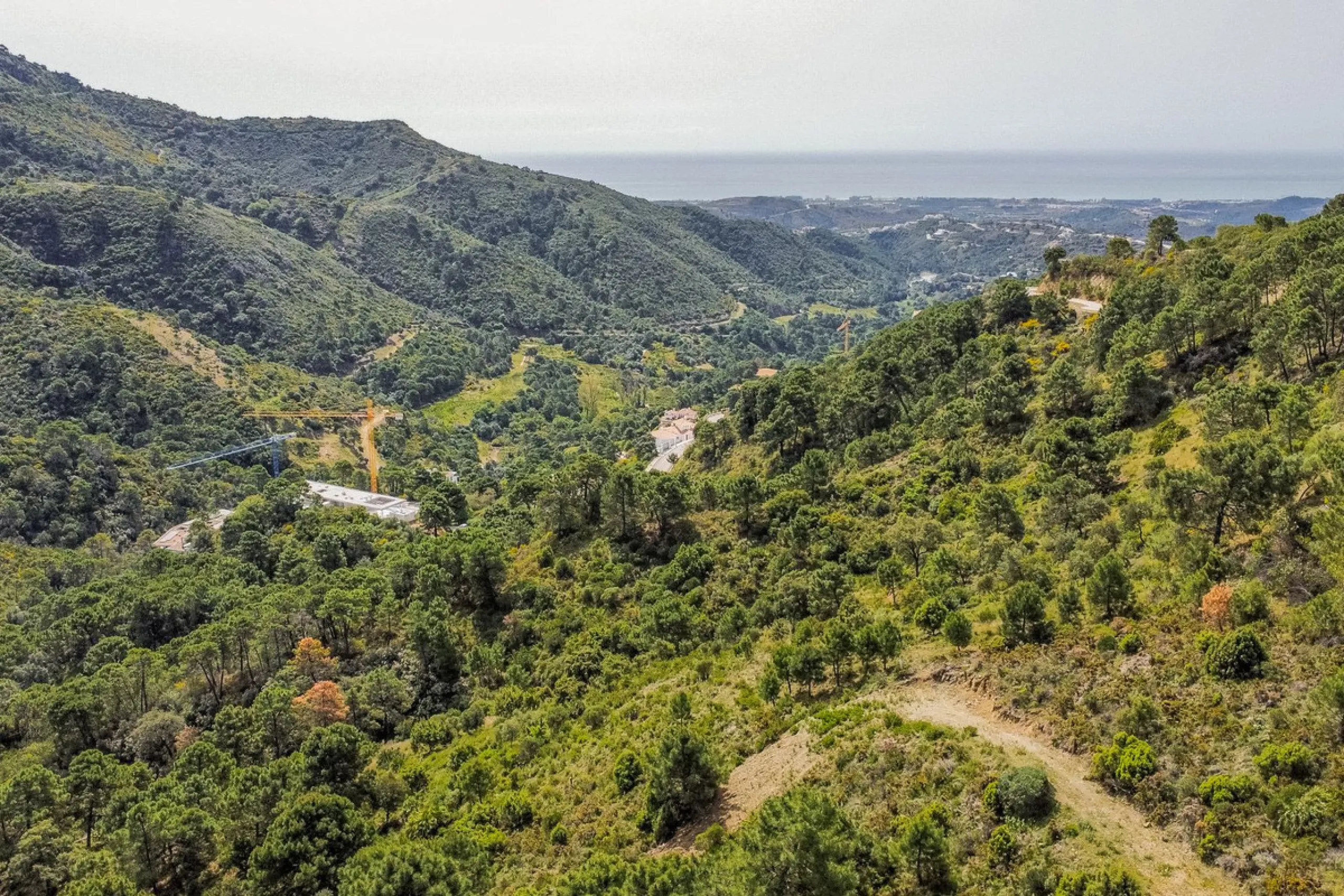 Fantastic rustic plot in Monte Mayor, Benahavís.