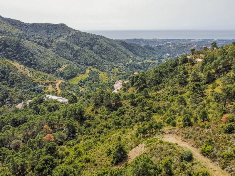 Fantastic rustic plot in Monte Mayor, Benahavís.