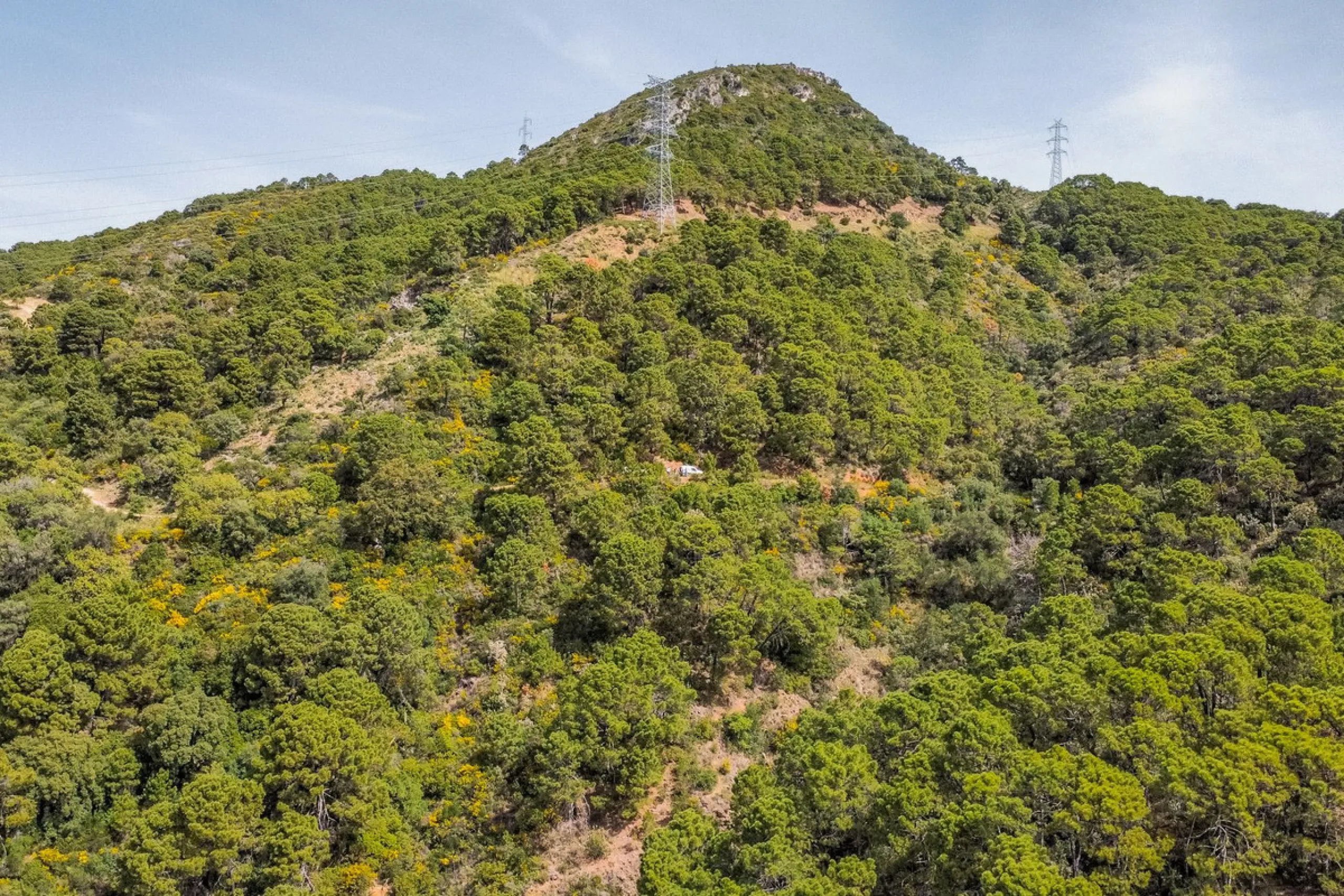 Fantastic rustic plot in Monte Mayor, Benahavís.