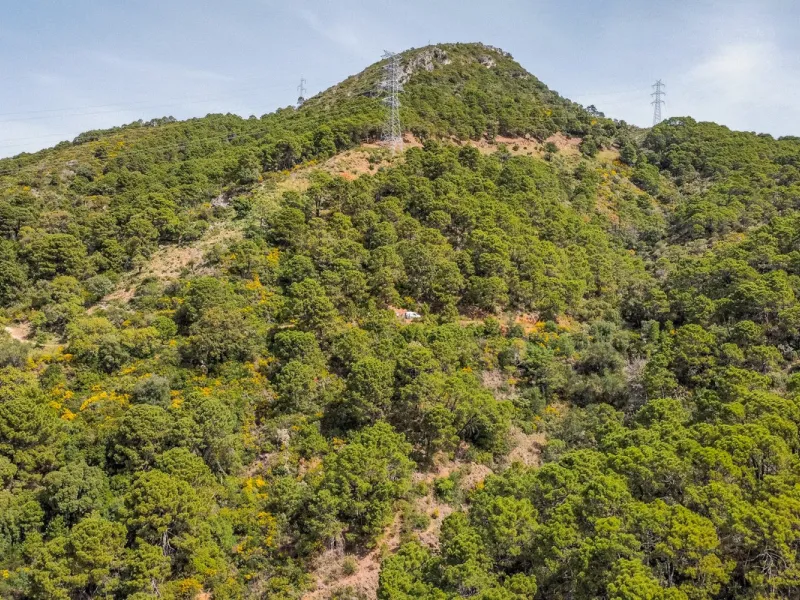 Fantastic rustic plot in Monte Mayor, Benahavís.