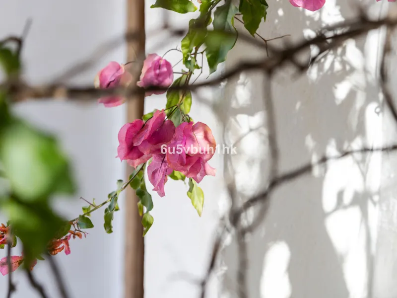 This beautiful and spacious property is located in a tranquil setting, perfect for those seeking a peaceful and relaxing environment, in between the villages of Torrox and Frigiliana, just 25 minutes away from the beach.
