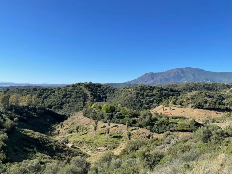 Plot - Residential Plot в продаже в Estepona, Málaga. Площадь дома 600 м². Площадь участка 4124 м²