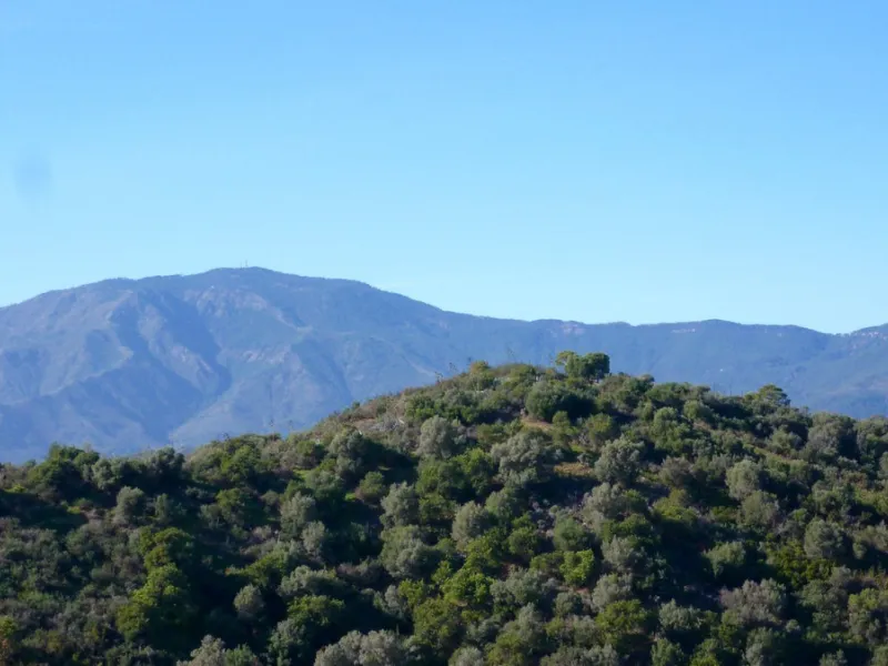 Plot - Residential Plot в продаже в Estepona, Málaga. Площадь дома 475 м². Площадь участка 2537 м²