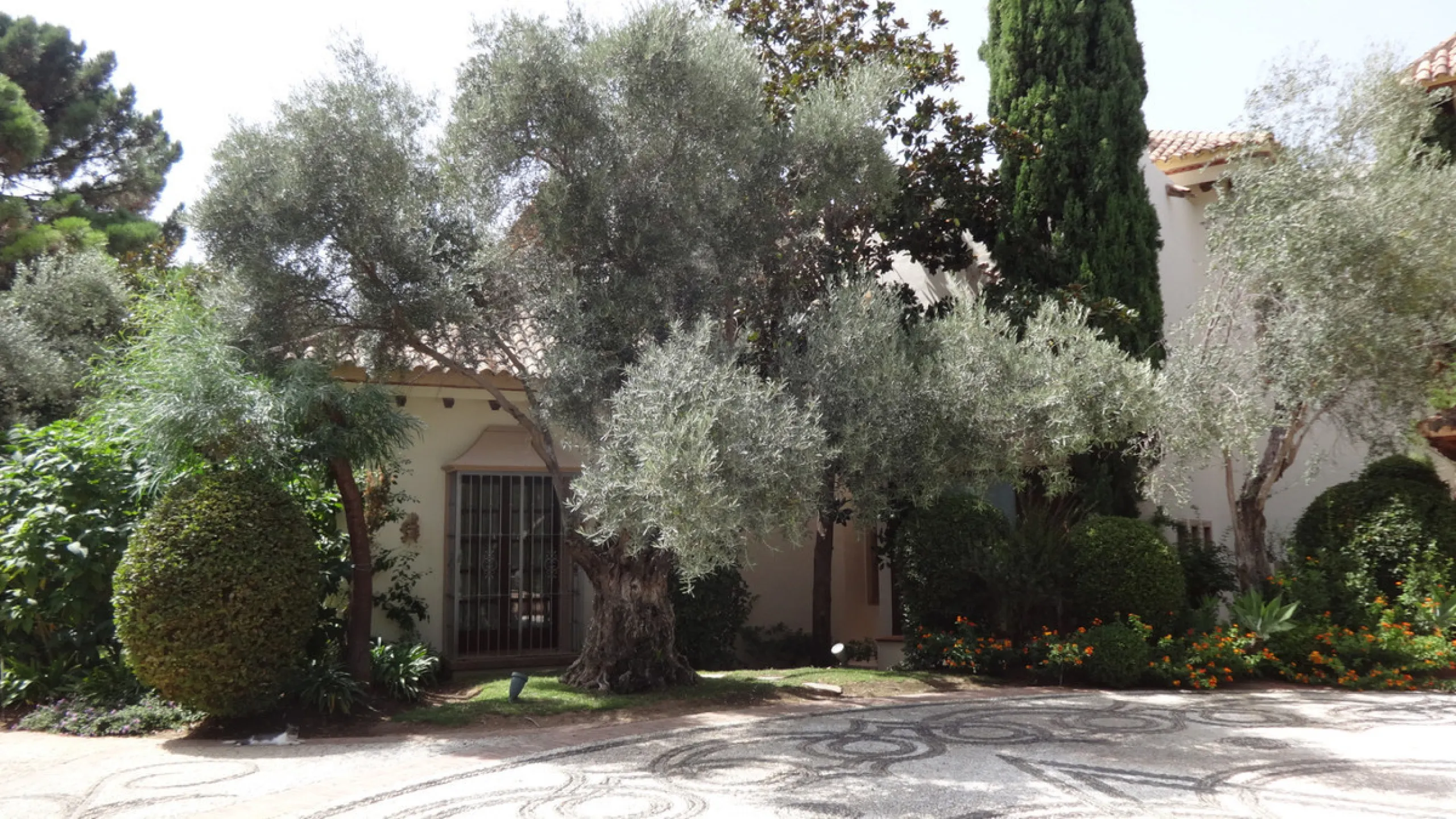 CHARMING AND LUXURIOUS HOLIDAY DOMICILE IN MARBELLA