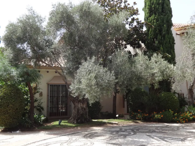 CHARMING AND LUXURIOUS HOLIDAY DOMICILE IN MARBELLA