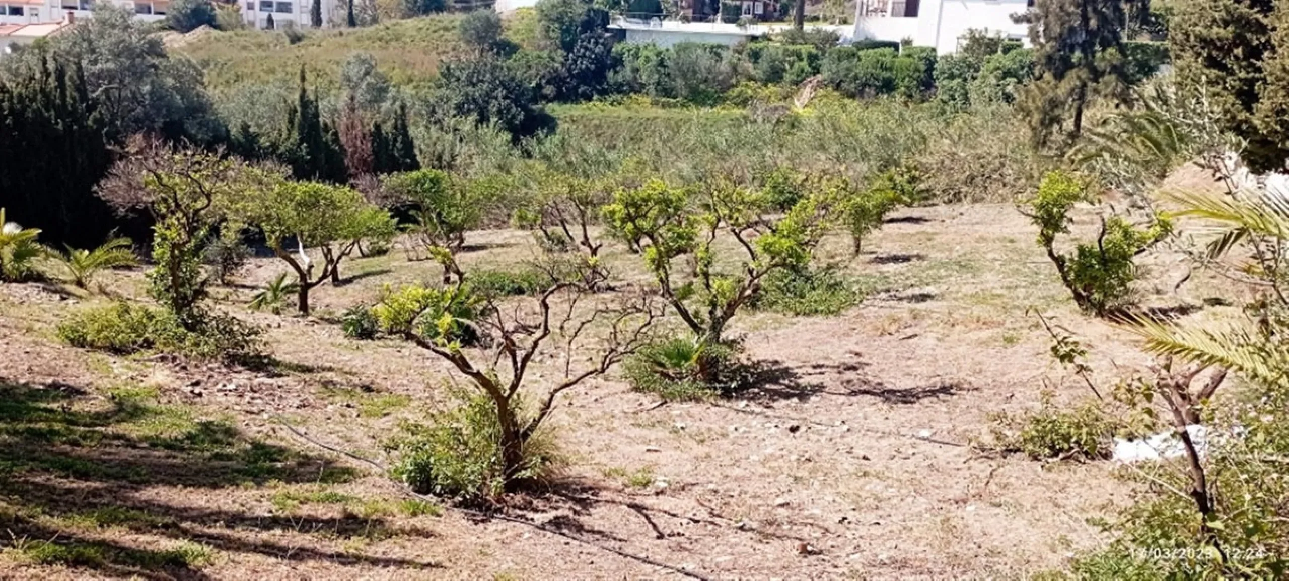 WE PRESENT THE UNIQUE VILLA JAZMIN, WITH ITS EXCELLENT LOCATION AND THE BEST VIEWS