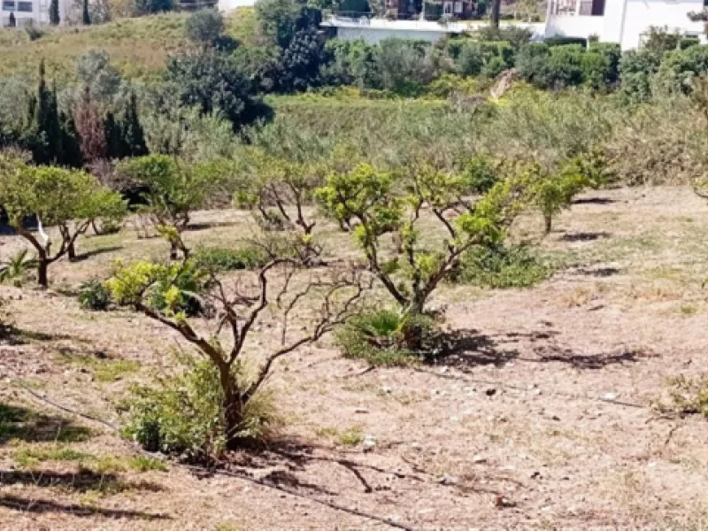 WE PRESENT THE UNIQUE VILLA JAZMIN, WITH ITS EXCELLENT LOCATION AND THE BEST VIEWS